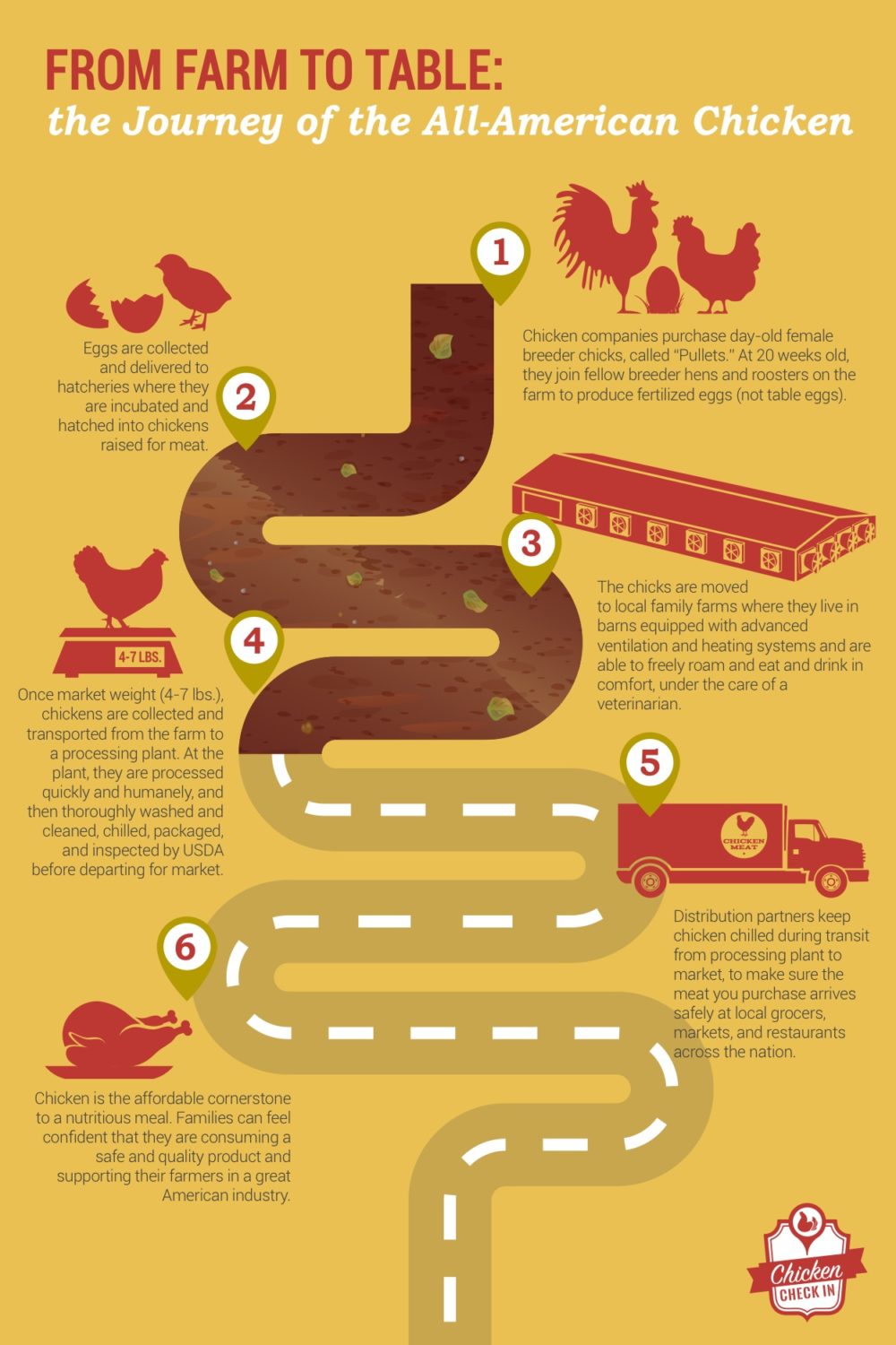 Follow chicken’s journey from farm to table [infographic]