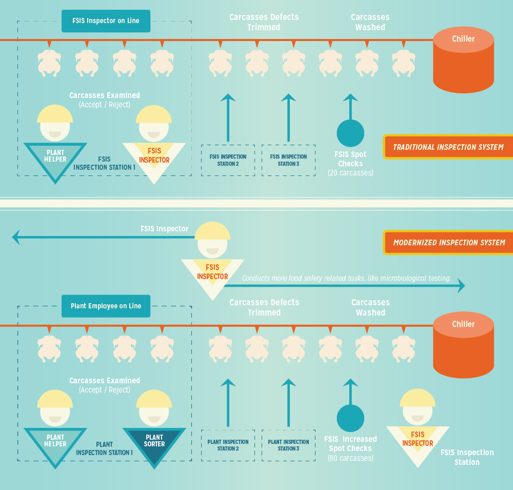 Paddock To Plate Flow Chart