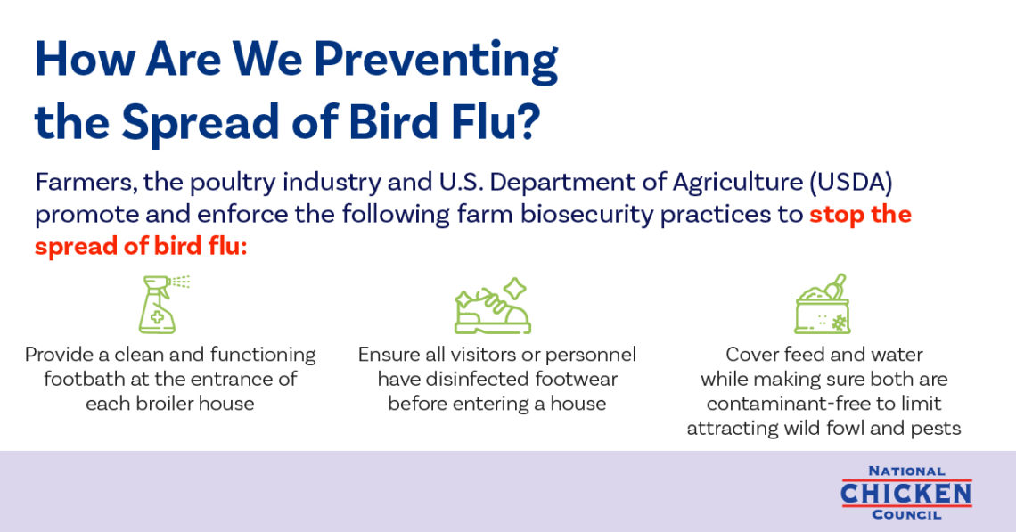 Avian Flu (Avian Influenza) Information