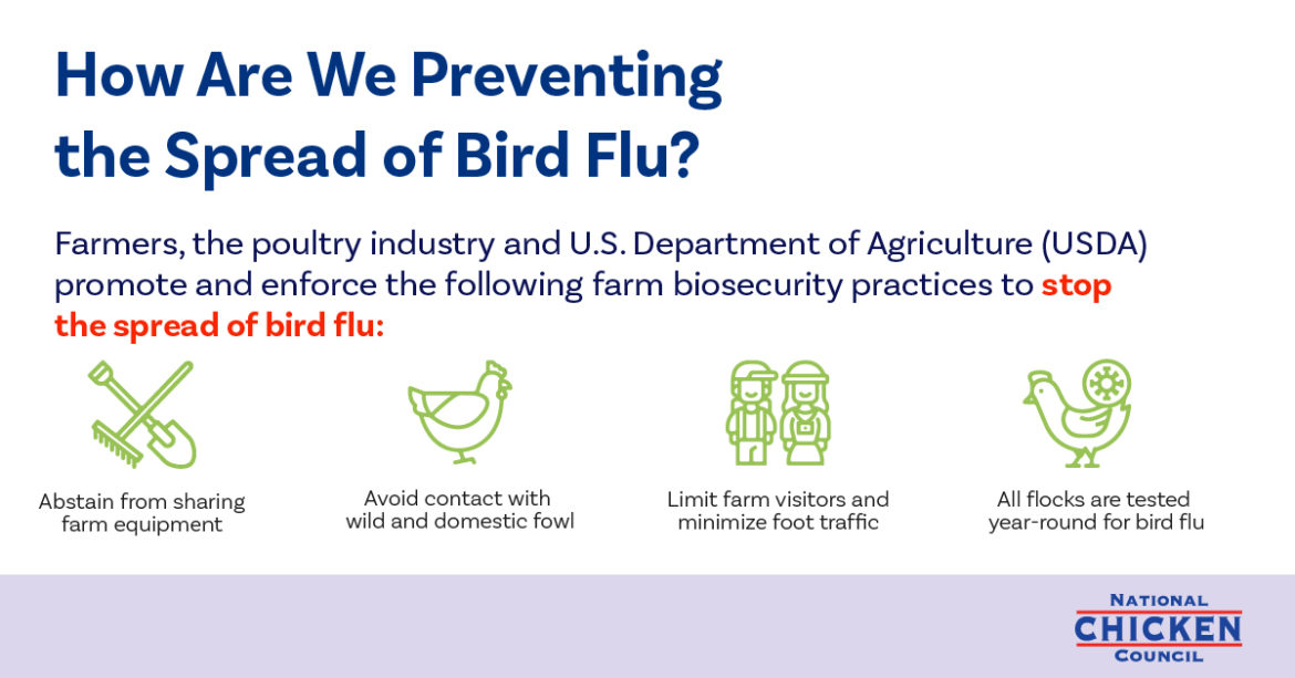 Dont Miss This Key Bird Flu Protection May Be In Your Flu Shot - x1m7h3s