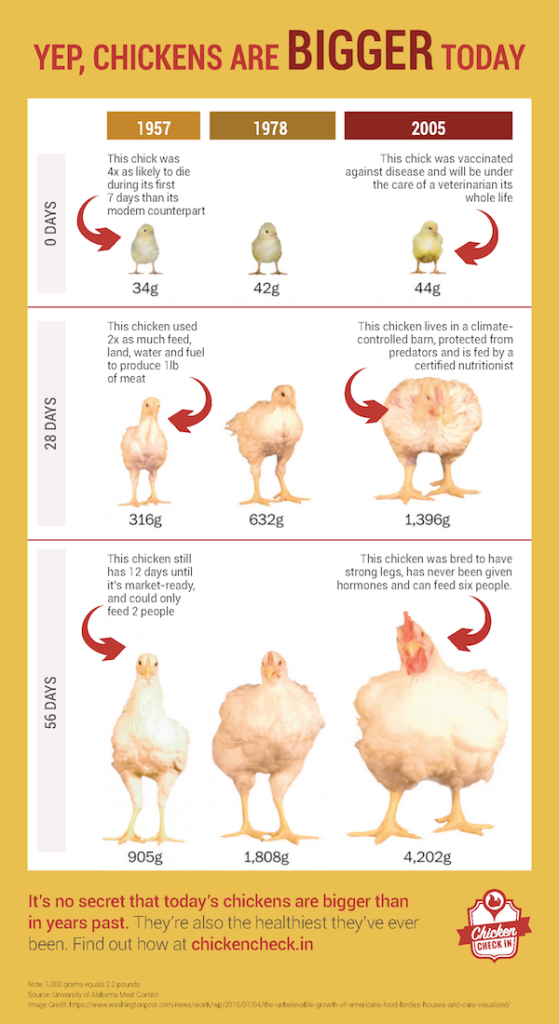 Faster-Growing Chicken vs. Slower-Growing Chicken