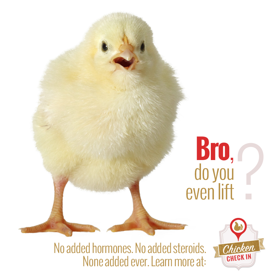 genetically modified chicken comparison