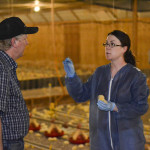 A veterinarian consults with a chicken farmer.