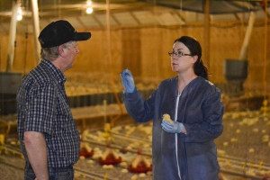 Poultry Veterinarian A veterinarian consults with a chicken farmer.