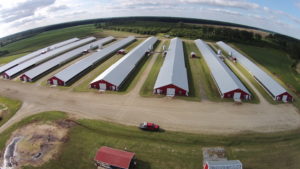 Aerial Shot of Chicken Houses