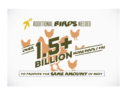 Even if only one-third of broiler chicken producers switched to a slower growing breed, nearly 1.5 billion more birds would be needed annually to produce the same amount of meat currently produced.