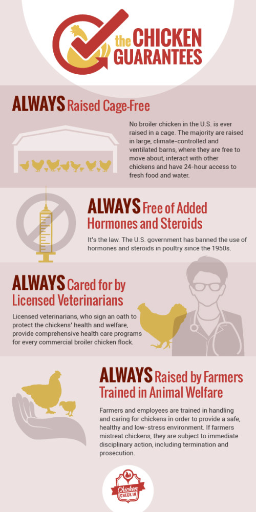 The-Chicken-Guarantees - Chicken Check In