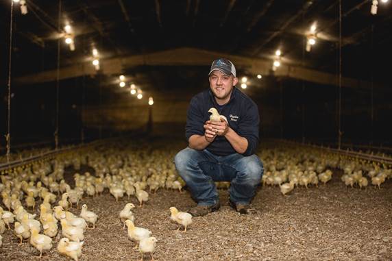chicken-farmer-care A chicken farmer's number one priority is maintaining the health of the flock. Chicken farmers regularly check on the chickens to make sure they’re thriving.