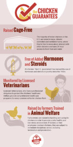 The Chicken Guarantees Infographic