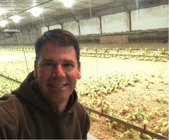 matt-lohr-chicken-farmer