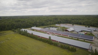 Vegetative buffer systems