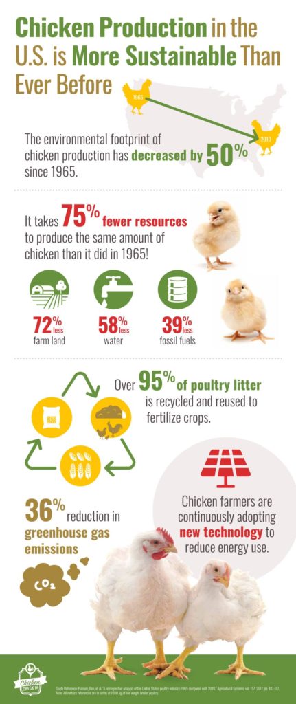 Sustainability: How does chicken production impact the environment?