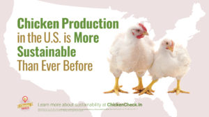 Chicken Production in the U.S. is More Sustainable Than Ever Before