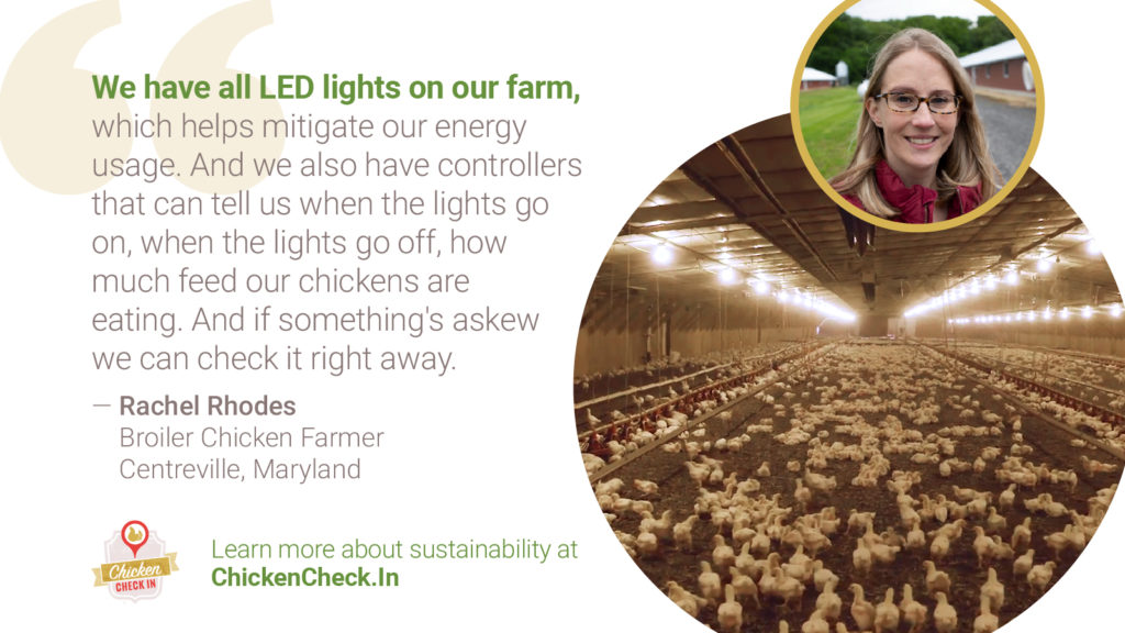 Chicken_Sustainability-Farmer_Quote_Rachel-Rhodes “We have all LED lights on our farm, which helps mitigate our energy usage. And we also have controllers that can tell us when the lights go on, when the lights go off, how much feed our chickens are eating. And if something's askew we can check it right away. - Rachel Rhodes, broiler chicken farmer from Maryland