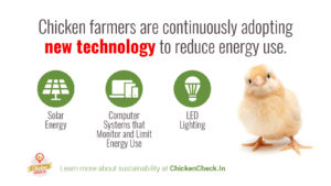 Chicken farmers are continuously adopting new technology to reduce energy use.