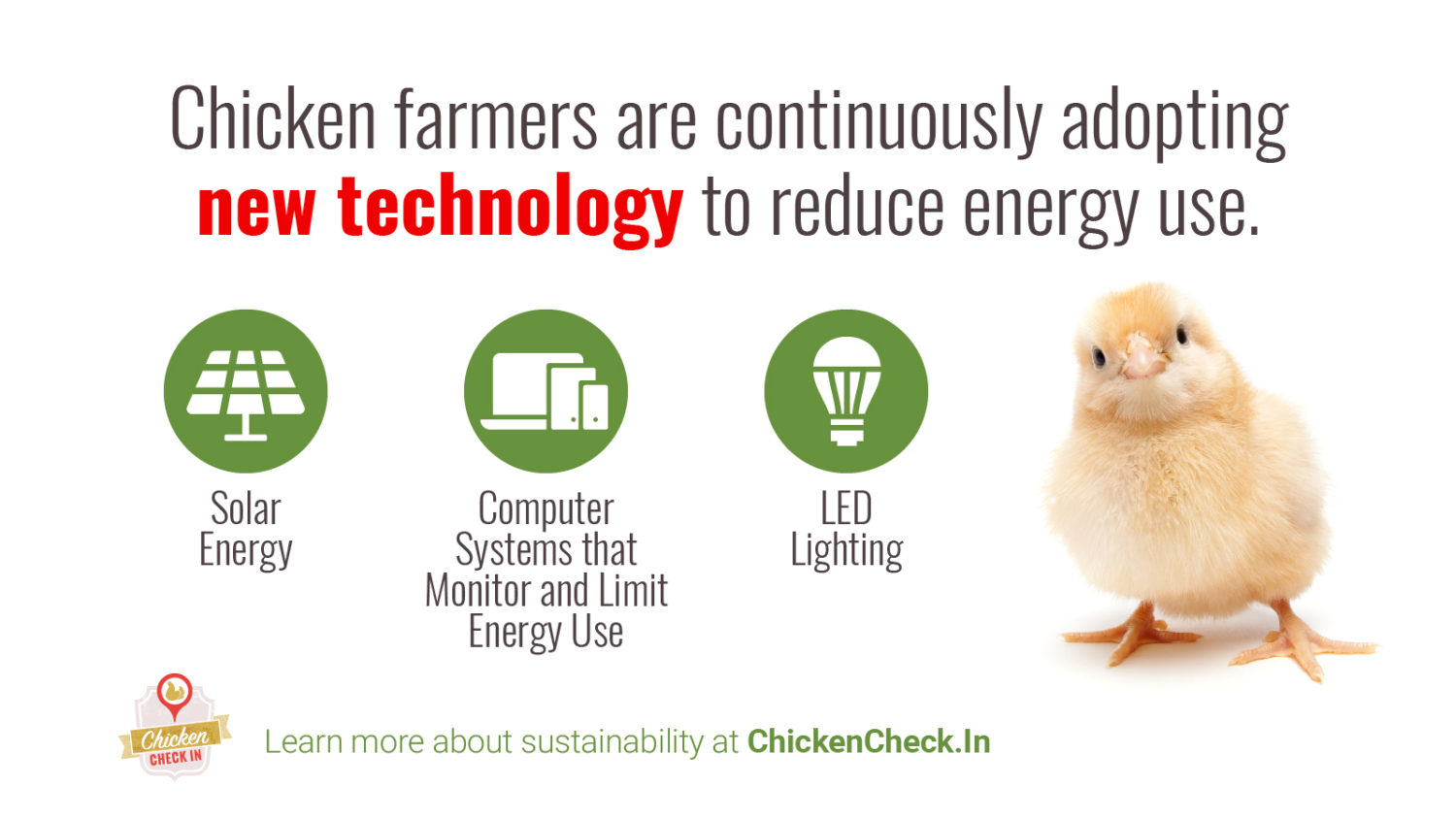 Chicken farmers are continuously adopting new technology to reduce energy use.