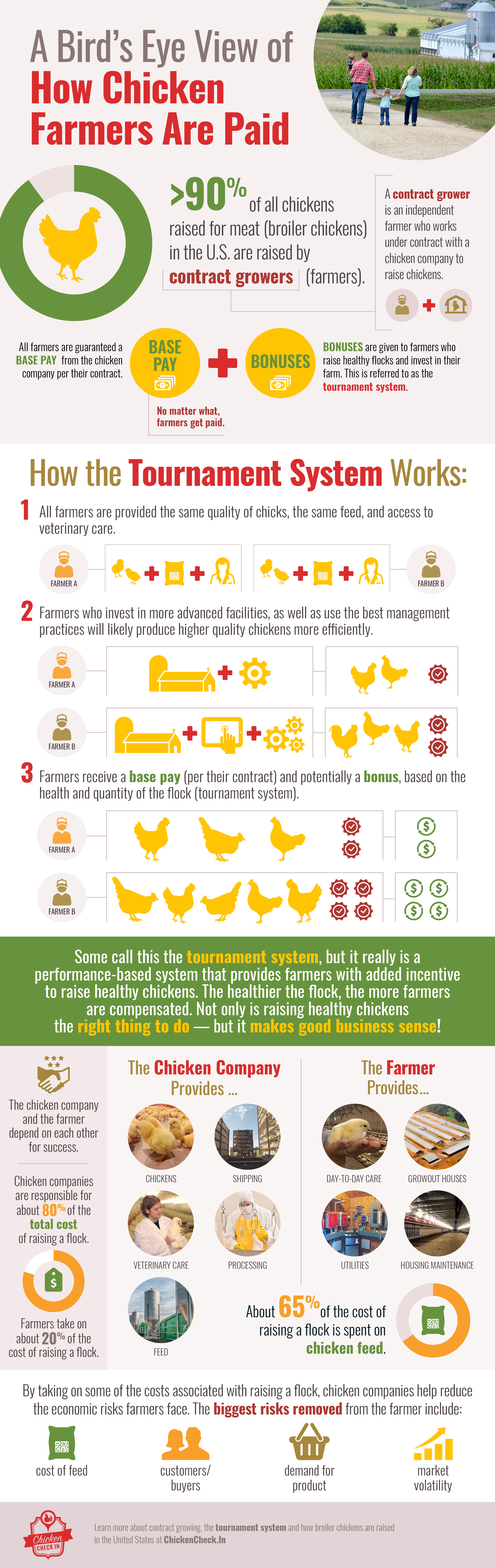 How-Chicken-Farmers-Paid_Tournament-System-Infographic_150dpi