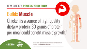 Chicken Builds Muscle