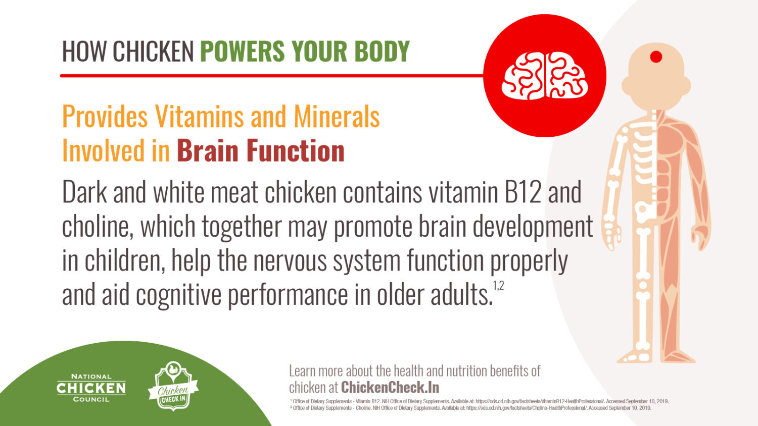 Chicken Provides Vitamins and Minerals Involved in Brain Function