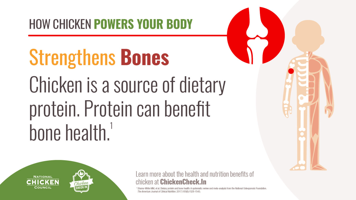 Chicken is a source of dietary protein. Protein can benefit bone health.