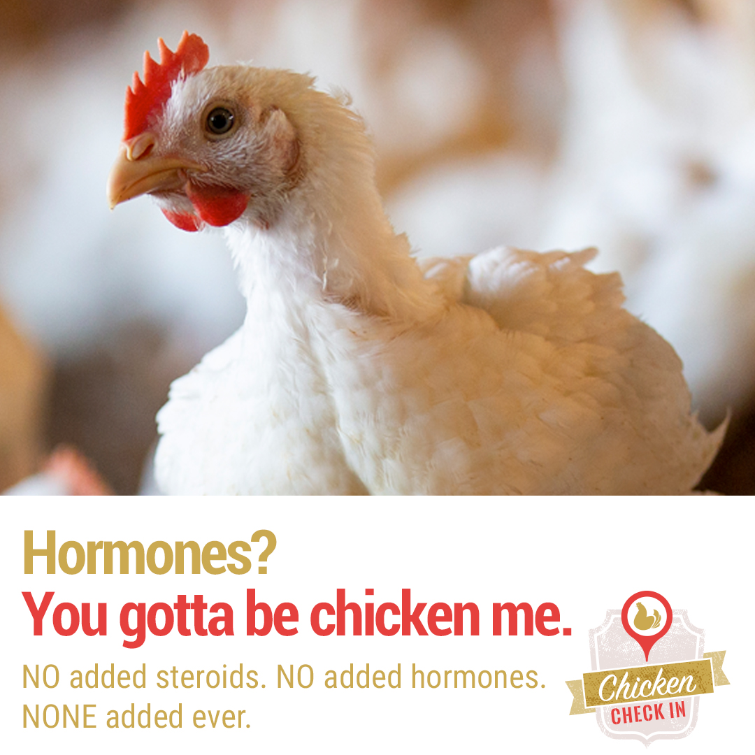 Hormones? You gotta be chicken me.