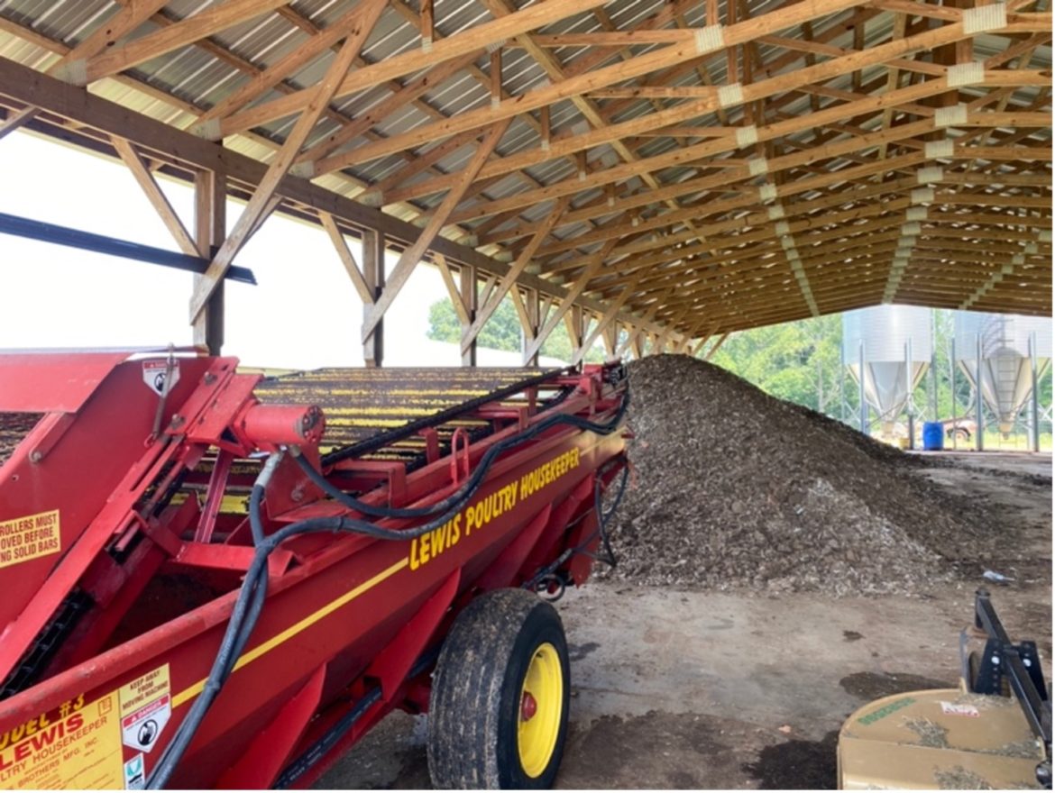 lewis-poutry-farm-equipment-chicken-check-in