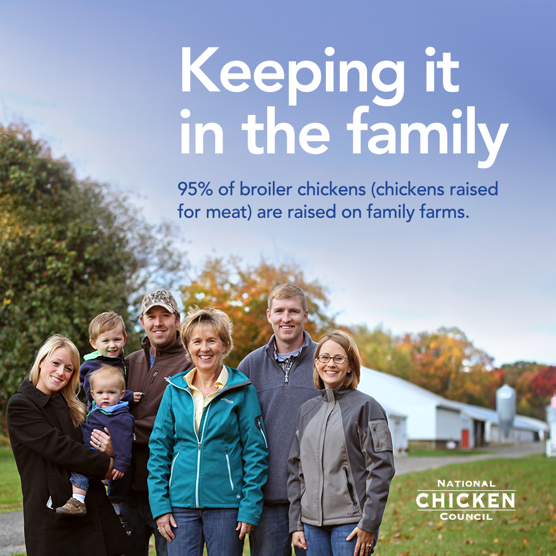 Chicken-Industry-Family-Farms