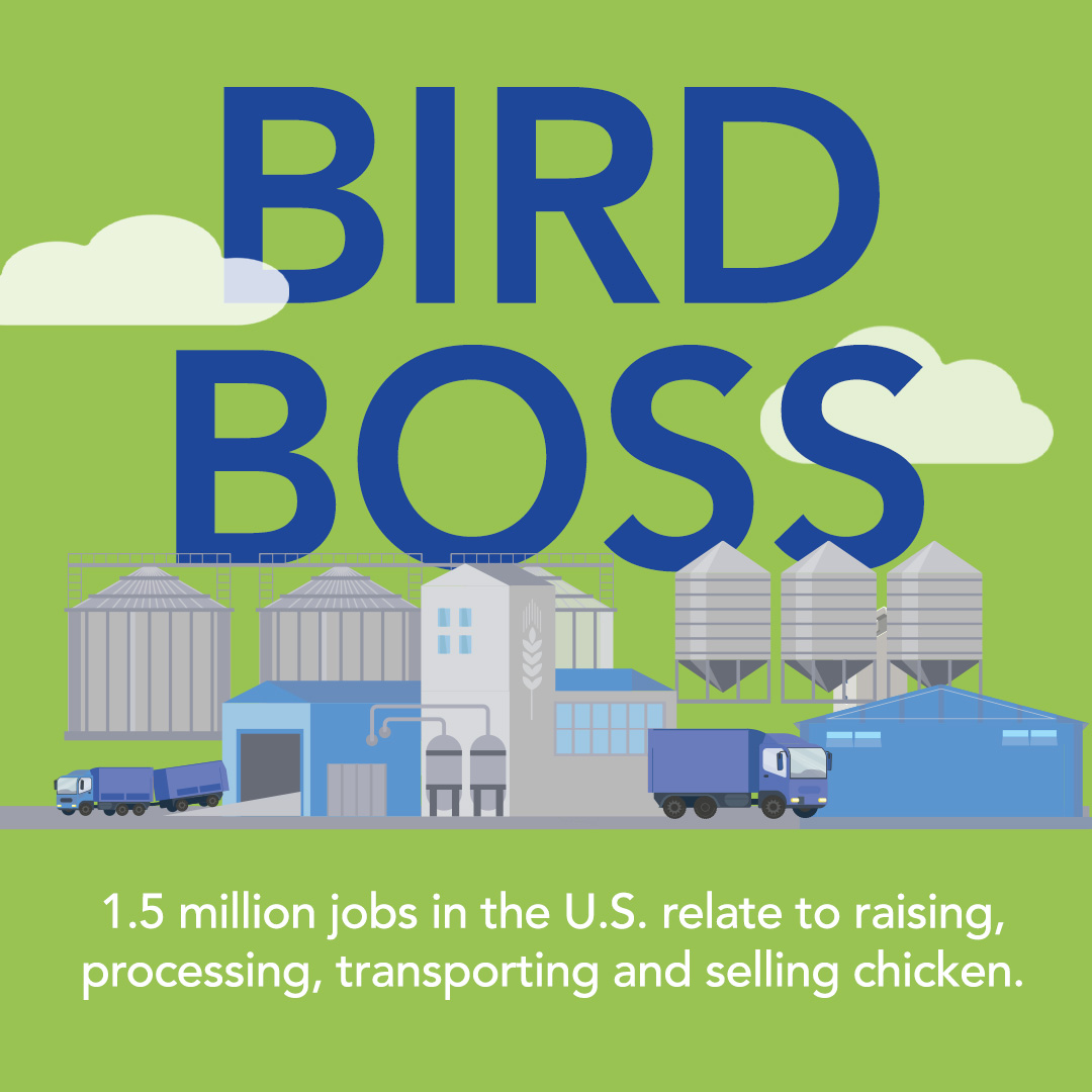 U.S_chicken-industry-1.5_million-jobs