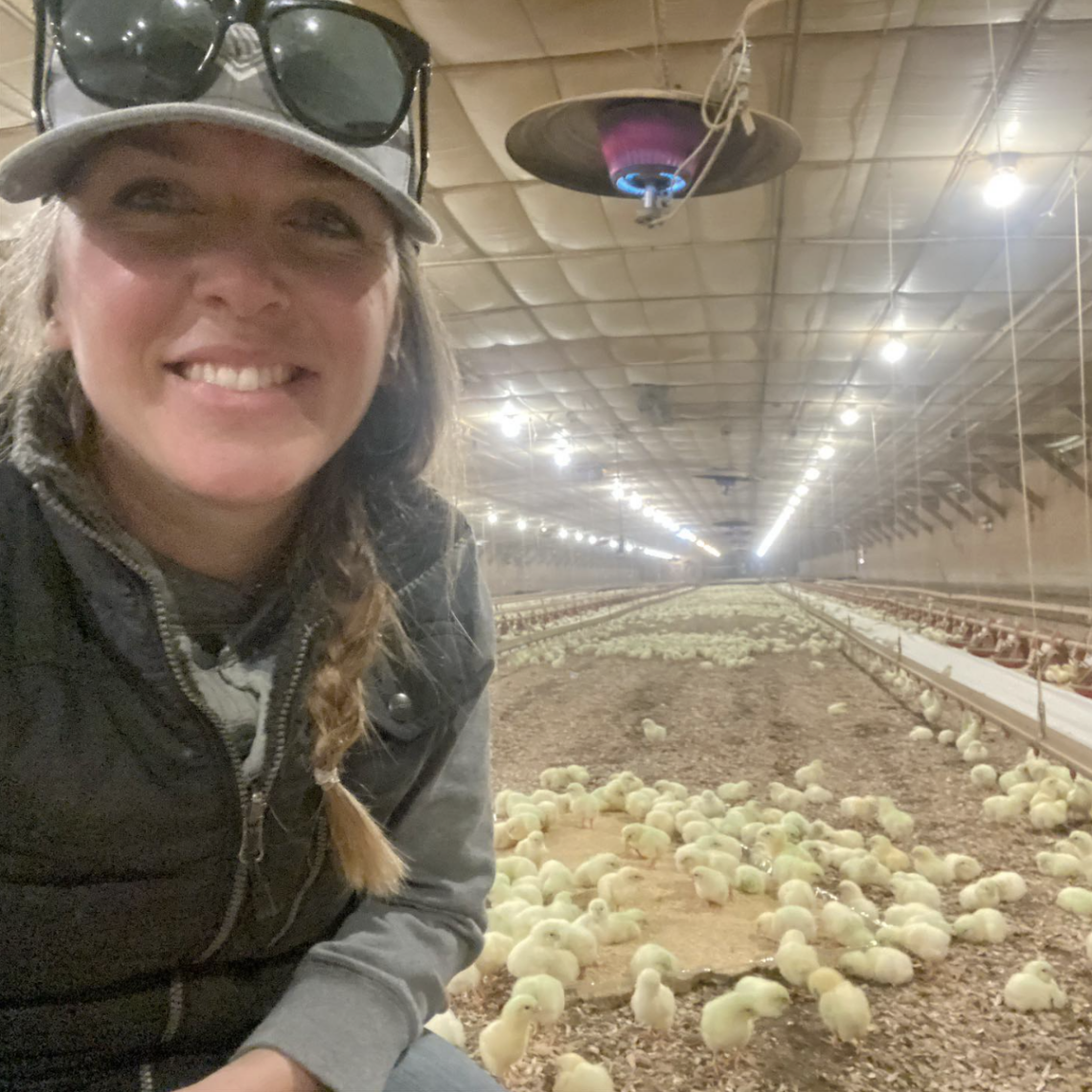 New on Chicken Check In: How one woman helped transform chicken into an ...